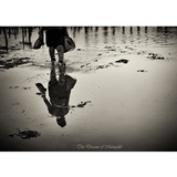 dailyPhoto24